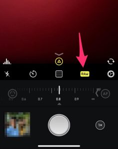 Halide RAW